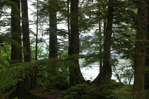 ketchikan07.jpg