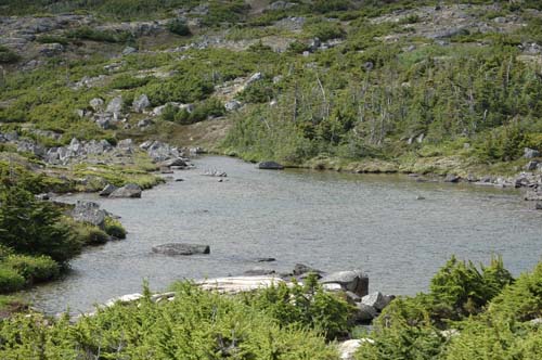 skagway10.jpg