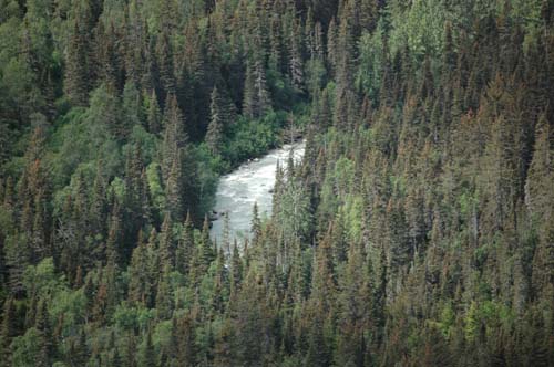 skagway16.jpg