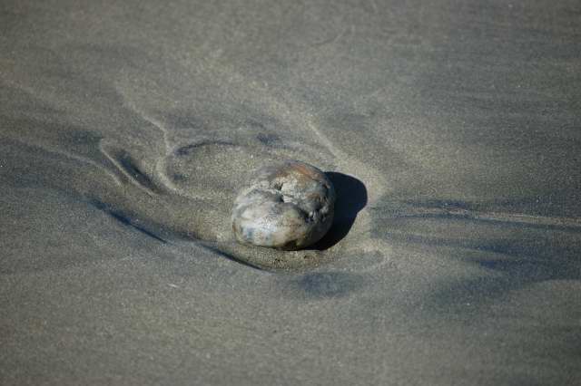 morro_rock_10002.JPG