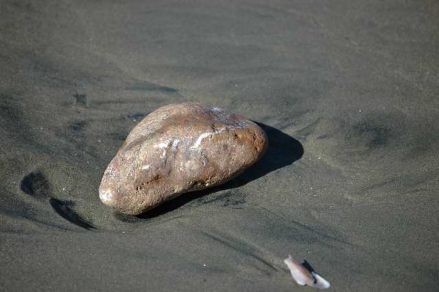 morro_rock_10003.JPG