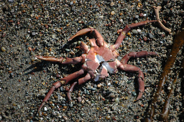 DSC_0015a.jpg