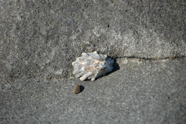 DSC_0024a.jpg