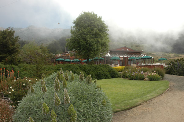 DSC_0013.jpg