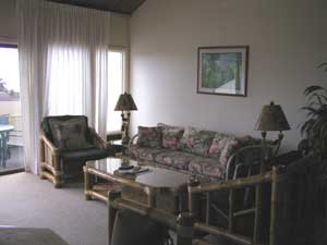 Condo living room