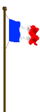 Image of the French Flag