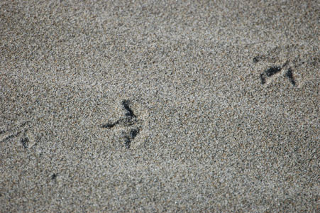 DSC_0022.JPG
