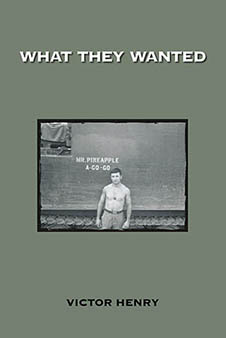 Image of What They Wanted book cover.